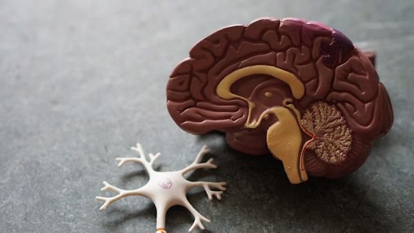 Neurology & Brain Health
