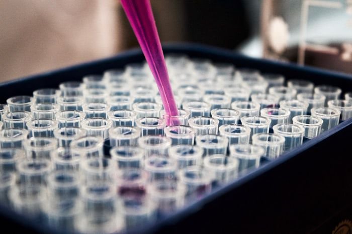 Egg Freezing & Vitrification